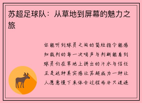 苏超足球队：从草地到屏幕的魅力之旅