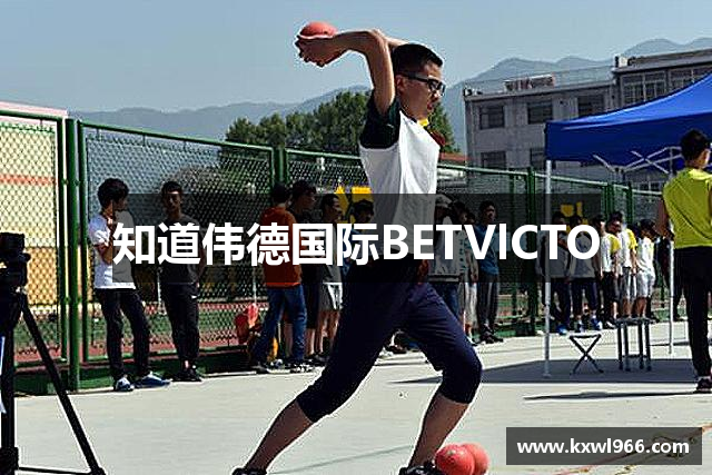 bevictor伟德官网-韦德官方网站