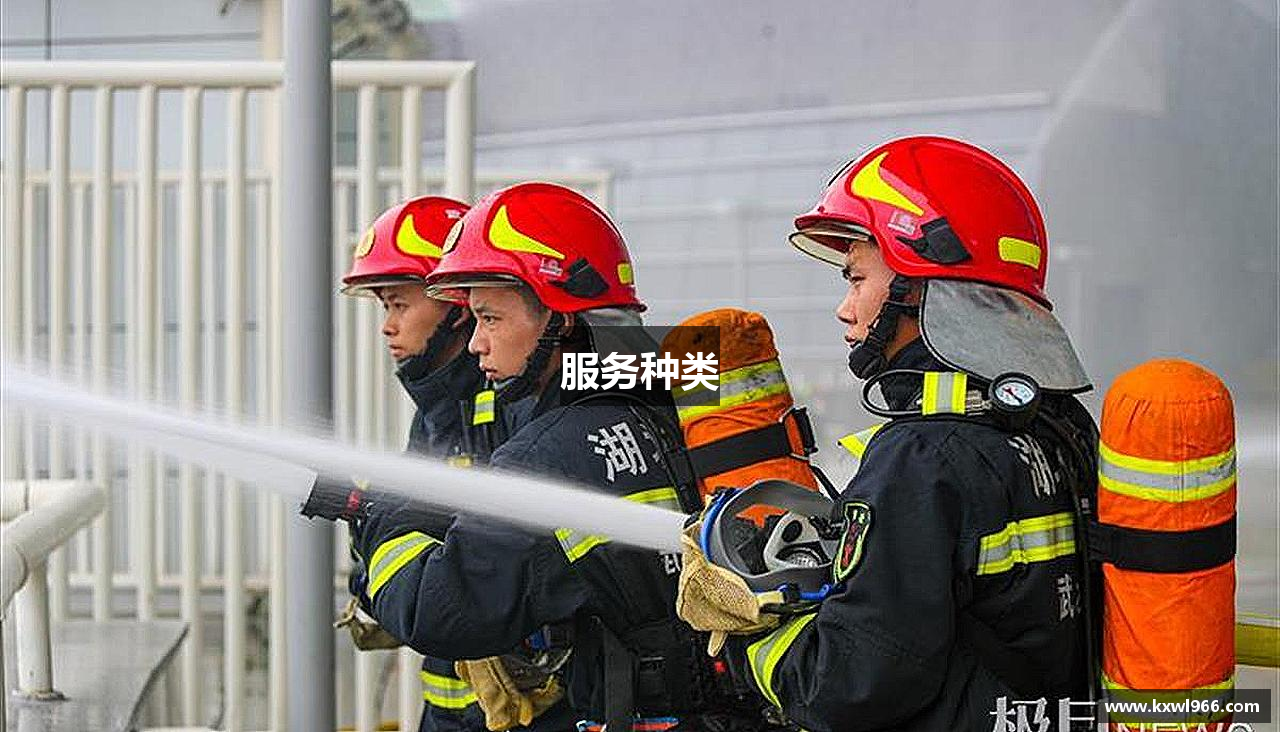 服务种类